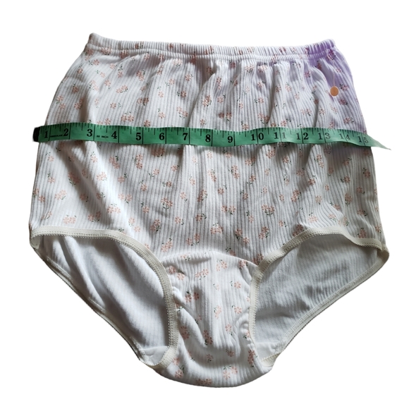 VTG Heavenly Secrets Panties Briefs Sz 10 - Picture 3 of 7